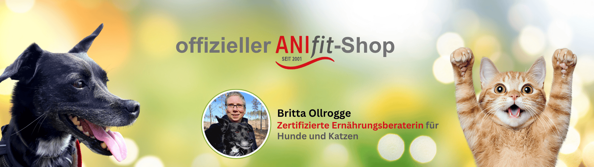 futternapf für katzen PIUPET® Katzennapf main image 0